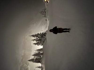 User uploaded review image