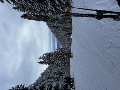 User uploaded review image