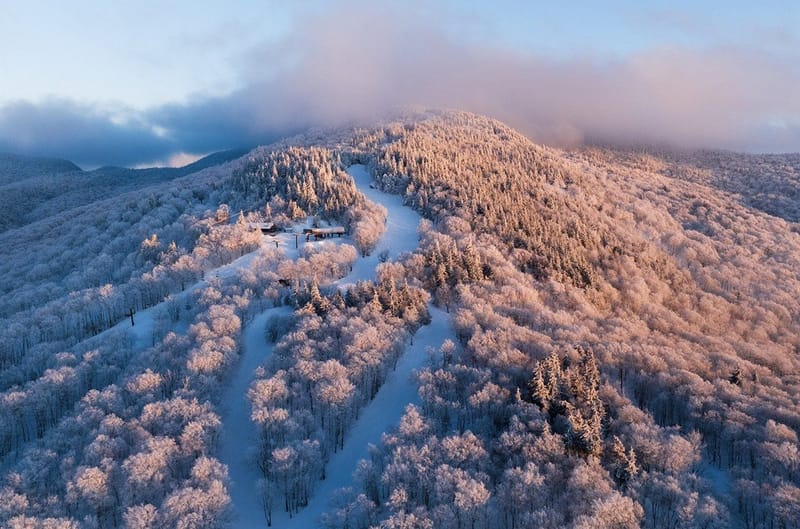 © Mont Sutton - https://montsutton.com/en/